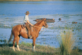 Album photo et carnet de voyages de notre séjour en ranch dans les montagnes du Waterberg en Afrique du Sud - Rando Cheval / Absolu Voyages